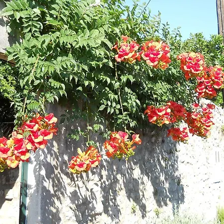 Pensionat Butorac 3*