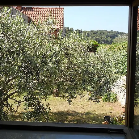 Butorac Pensionat Kolocep Island